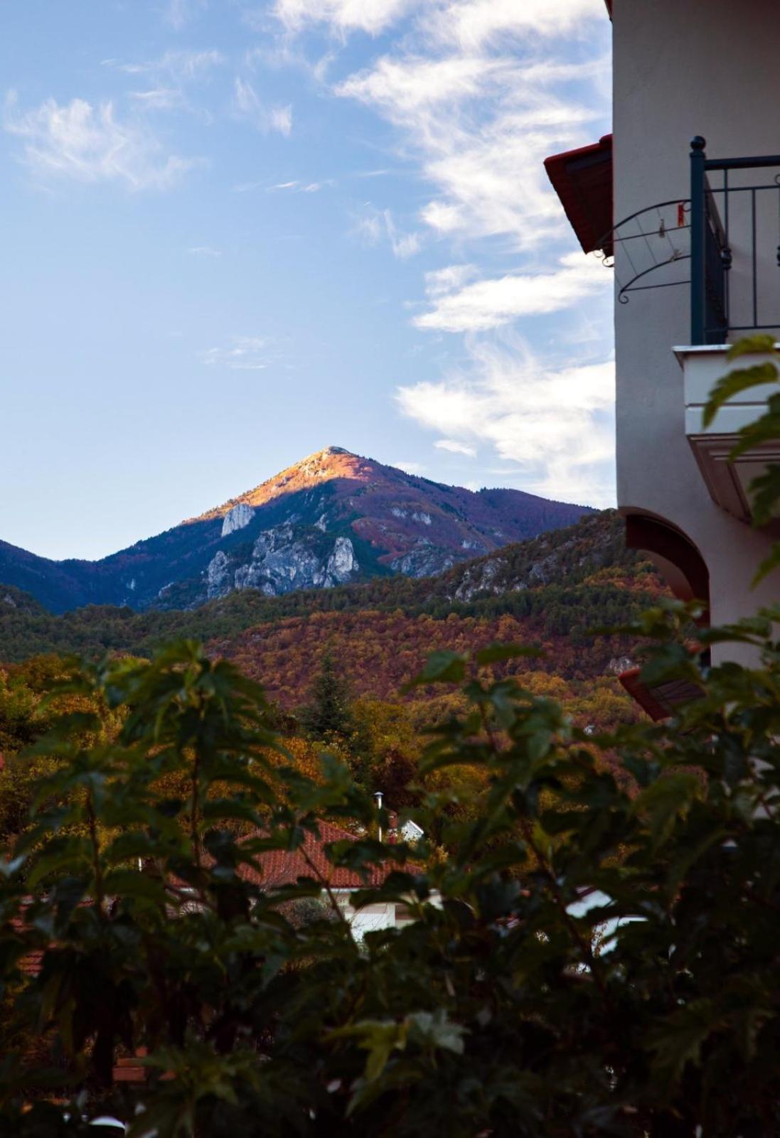 House Venetia Apartment Orma Bagian luar foto